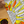Sunflower Bloom | Paint Bar DIY Kit