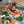 Koi Garden | Paint Bar DIY Kit